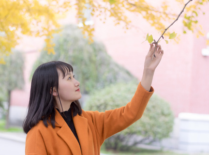 菲律宾最是几月去旅游(旅游季节分享)